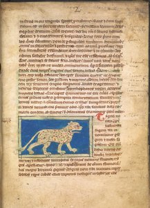 Egy tigris, a Sloane 3544, f.2 (pergamen) alkotó: English School