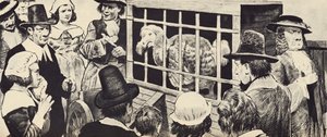 Egy dodót állítanak ki a tizenhetedik századi Angliában (litho) alkotó: English School