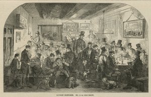 Egy kutyakiállítás alkotó: English School