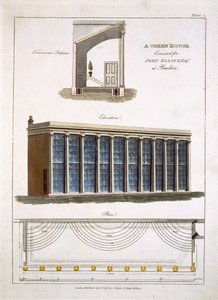 John Elliott üvegháza Pimlicóban, Londonban, 1806 alkotó: English School