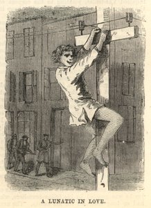 Szerelmes őrült alkotó: English School