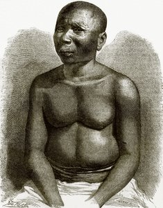 Az Andamán-szigeteken őshonos alkotó: English School