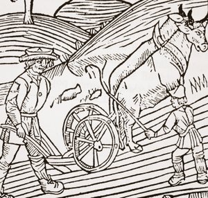 Ekéhez kötött ökörpár, John Fitzherberts Boke of Husbandry címlapja, első kocsma. 1523 alkotó: English School