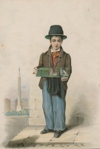 A képen egy fiatal fiú fehér egereket tartalmazó ketrecben tart alkotó: English School