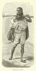 Abesszin fusileer alkotó: English School