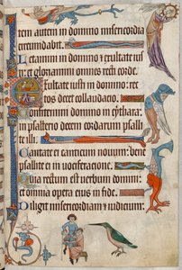 Hozzáadás. 42130, f.61, Orvos, aki kivéreztet egy beteget, a „Luttrell Psalter”, c.1325-35 (vellum) alkotó: English School