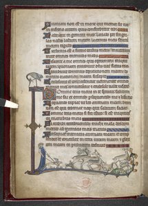 Adja hozzá az MS 24686, f.13v zsoltárt szélső kiterjesztéssel, amely részleges szegélyt képez, c.1284-1316 (vellum) alkotó: English School
