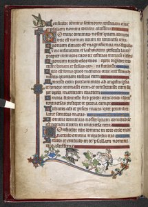 Add hozzá MS 24686, f.14v, Póni fiú sólyomvadász kacsával, c.1284-1316 (vellum) alkotó: English School