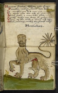 Adja hozzá az MS 57312 f.11 játékkönyvet (tinta és szín a pergamen) alkotó: English School