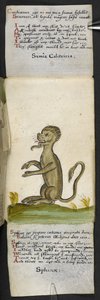 Adja hozzá az MS 57312 f.14 játékkönyvet (tinta és színes pergamen) alkotó: English School