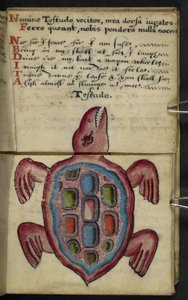 Adja hozzá az MS 57312 f.5 játékkönyvet (tinta és szín a pergamen) alkotó: English School