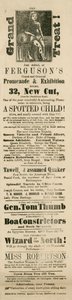 Fergusons Grand and Oriental Promenade and Exhibition hirdetése, 32 New Cut, Lambeth, London alkotó: English School