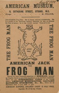 Anzeige für das American Museum von English School