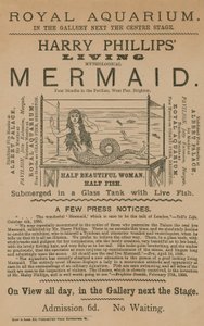 Harry Phillips Living Mythological Mermaid reklámja alkotó: English School