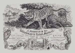 A J Martin & Co hirdetése, nagy- és kiskereskedelmi szűcsök, Southampton, Hampshire (litho) alkotó: English School