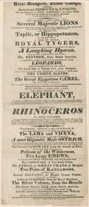 A Royal Menagerie, Exeter Change hirdetése alkotó: English School