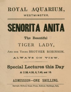Senorita Anita reklámja alkotó: English School