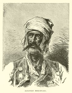 Albán zsoldos alkotó: English School