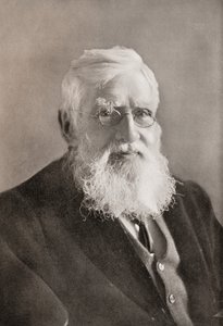 Alfred Russel Wallace, "Az év"-ből alkotó: English School