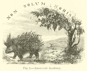 Szerető Akadémia alkotó: English School