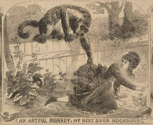 „An Artful Monkey, My Next Door Neighbour”, illusztráció az „Illustrated Police News”-ból, 1872. augusztus 24. (litho) alkotó: English School