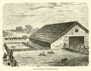 Eine australische Schafstation