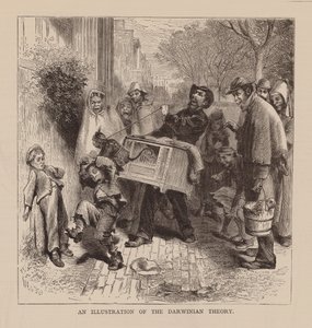 A darwini elmélet illusztrációja (metszet) alkotó: English School