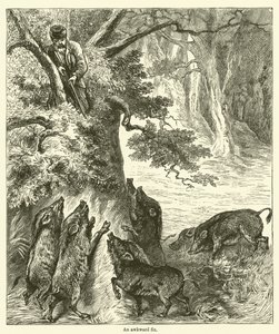 Kínos javítás (gravírozás) alkotó: English School