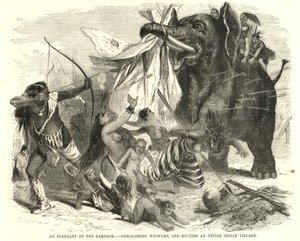 Egy elefánt tombol alkotó: English School