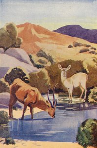 Antilopok az ivólyuknál (színes litográfia) alkotó: English School