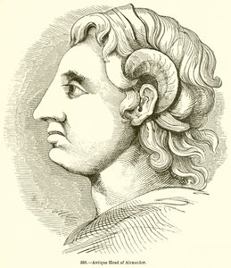 Sándor antik feje alkotó: English School