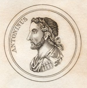 Antoninus Pius, a "Crabb
