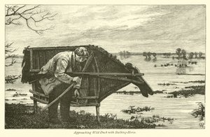 Vadkacsa közeledve Stalking-Horse-val alkotó: English School