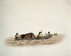 Arawak Indian-Demerara (wc papíron) alkotó: English School