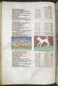 Arundel MS 66 f.44v Canis maior és Canis minor kutyaként ábrázolva 