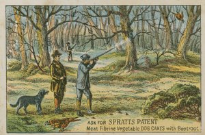 Kérjen Spratts szabadalmat alkotó: English School