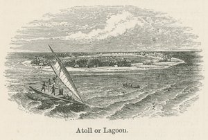 Atoll vagy lagúna (metszet) alkotó: English School