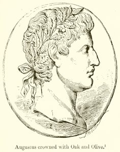 Augustus tölgy- és olajfával koronázva alkotó: English School