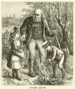 Őszi levelek (metszet) alkotó: English School