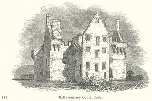 Ballyromney Court, Cork (metszet) alkotó: English School