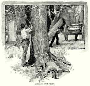 Barking Gum-Trees (metszet) alkotó: English School