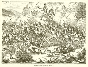 Busacói csata, 1810
