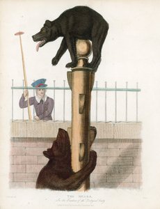 Bear Pit, London Zoological Gardens, Regents Park alkotó: English School