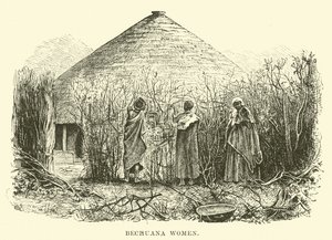 Bechuana nők alkotó: English School
