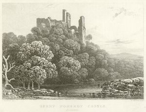 Berry Pomeroy kastély, Devonshire (metszet) alkotó: English School