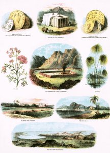 Bibliai illusztrációk alkotó: English School