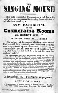 Bill Plakát Az éneklő egér kiállításhoz a Cosmorama Roomsban, Regent Street 209, c. 1836 alkotó: English School