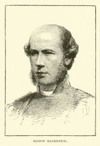 Mackenzie püspök alkotó: English School