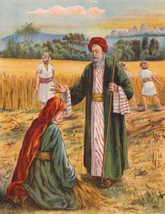 Boáz és Ruth az aratómezőn (színes litográfia) alkotó: English School