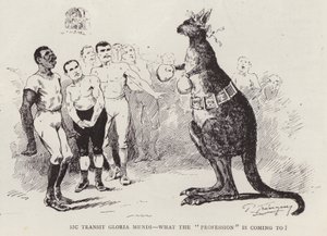 Boksz kenguru (litho) alkotó: English School
